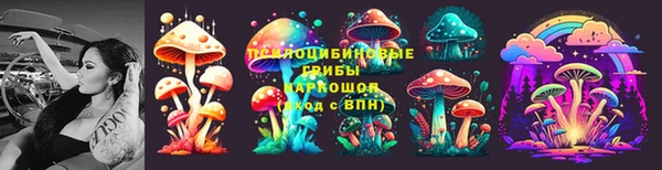 крисы Мегион