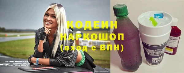 крисы Мегион