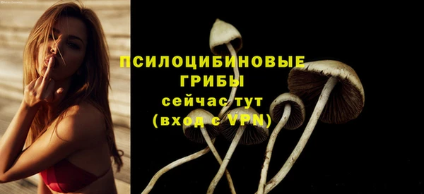 MDMA Premium VHQ Магадан