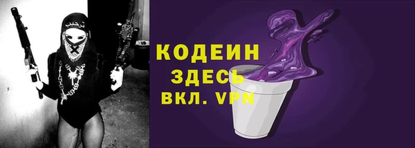крисы Мегион