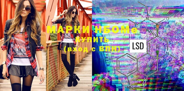 крисы Мегион