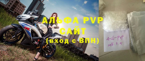 крисы Мегион