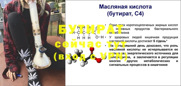 крисы Мегион