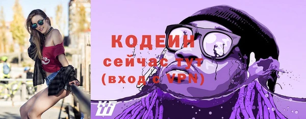 крисы Мегион