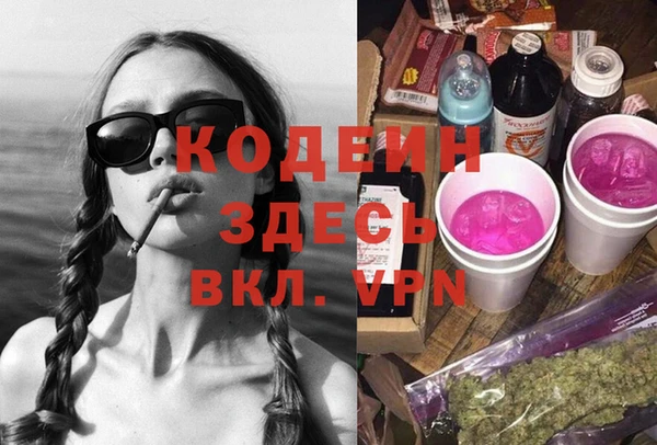 крисы Мегион