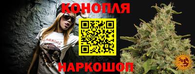 гашик Бийск