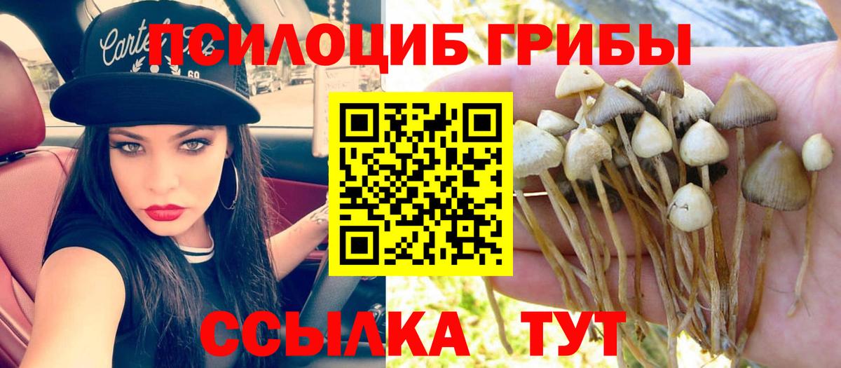 А ПВП СОЛЬ   Владикавказ  Вход с VPN  КОКАИН  Мефедрон   НБОМе  МАРИХУАНА  МЕФ 