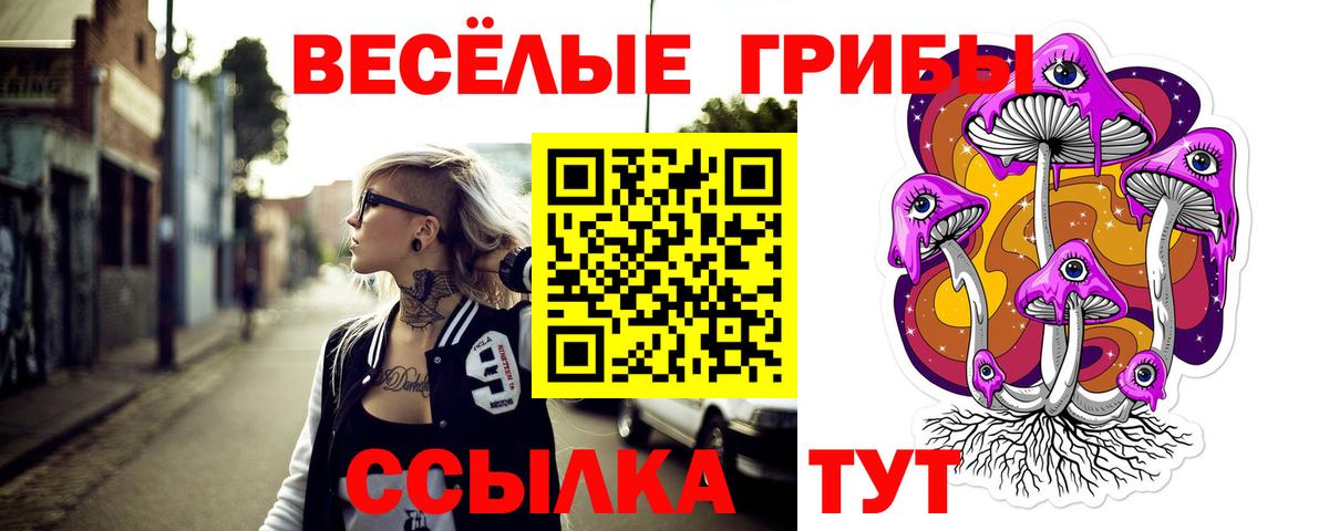  COCAIN Владикавказ