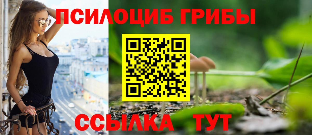 Псилоцибиновые грибы мухоморы Владикавказ